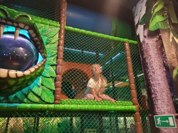 9_amazonia