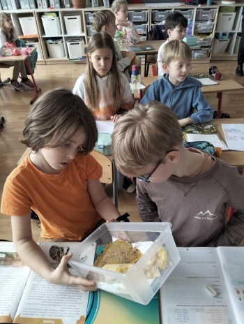 7_pszczelarstwo
