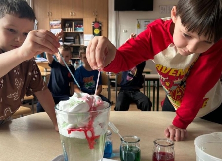 Szkolny Festiwal Nauki